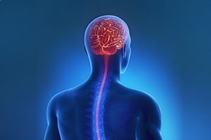 Neuro and Spine Surgery