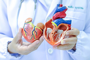 Cardiology